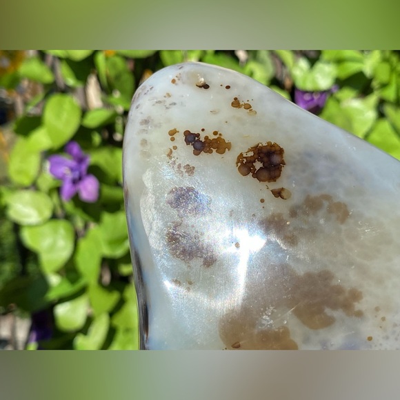 Dendritic Agate Freeform - Picture 6 of 16